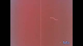 Darren Star productions/nelvana/slow genius/hasbro/Viacom (1978)/smpte foot (1977)