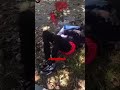 FOOLIO GOES TO YUNGEEN BROTHER GRAVE TO SHOOT MUSIC VIDEO AND STOMPS ON GRAVE😱😳 #shorts #viral