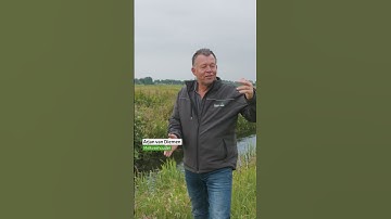 Boeren maken hun land expres nat... Maar waarom?