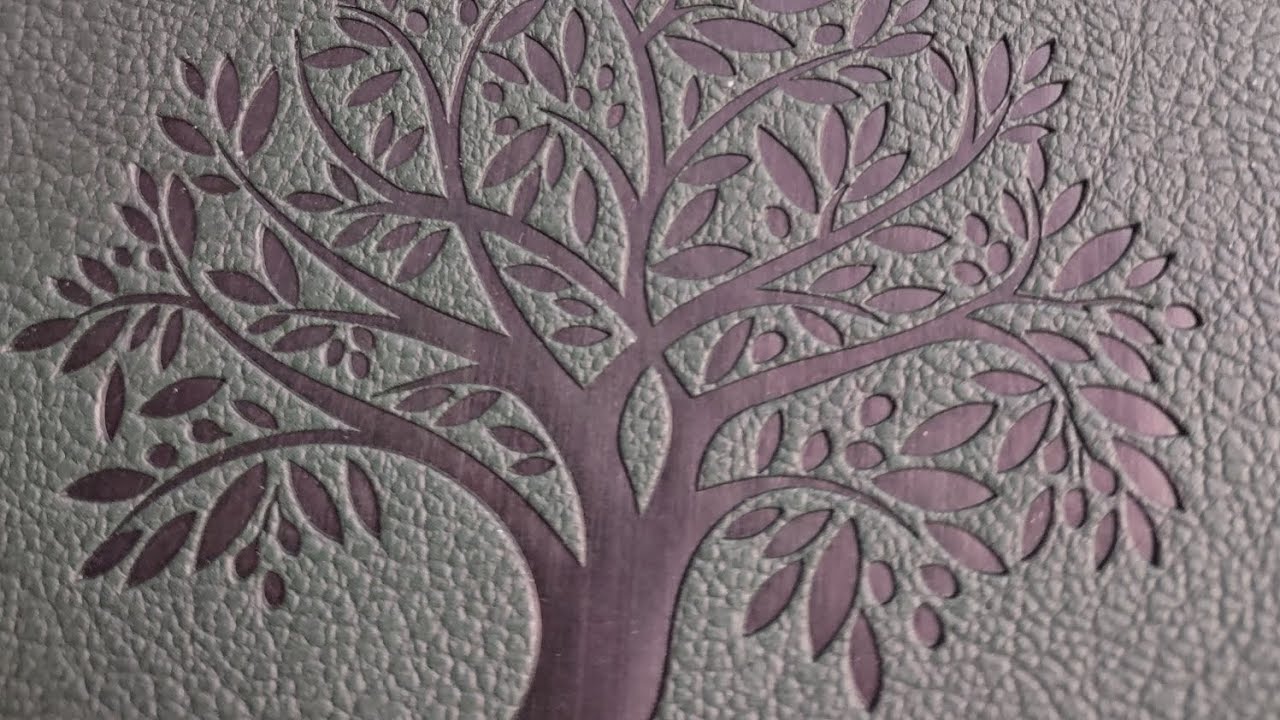 Bible Review Tree of Life Version