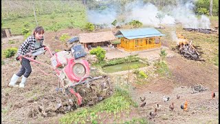 Soil, improve the bare land around the farm to make a garden to grow vegetables, tubers and fruits.