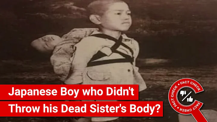 FACT CHECK: Japanese Boy who Refused to Let Go of his Dead Sister's Body? - DayDayNews