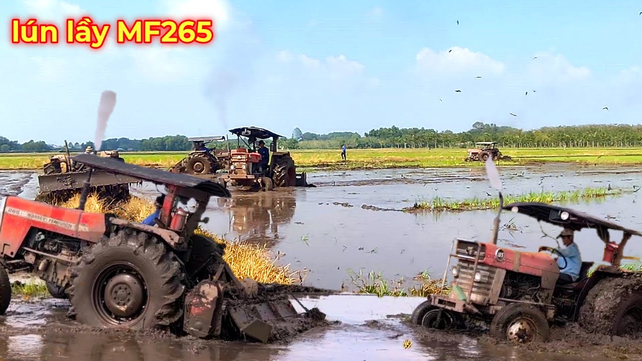 5 chiếc máy cày xới đất chuẩn bị mùa lúa mới  dính đất lầy