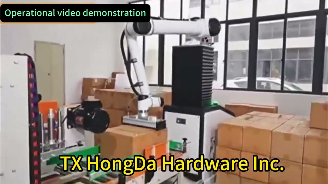 Palletizer Machine 2