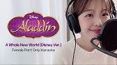 Aladdin A Whole New World Karaoke Mpg Youtube