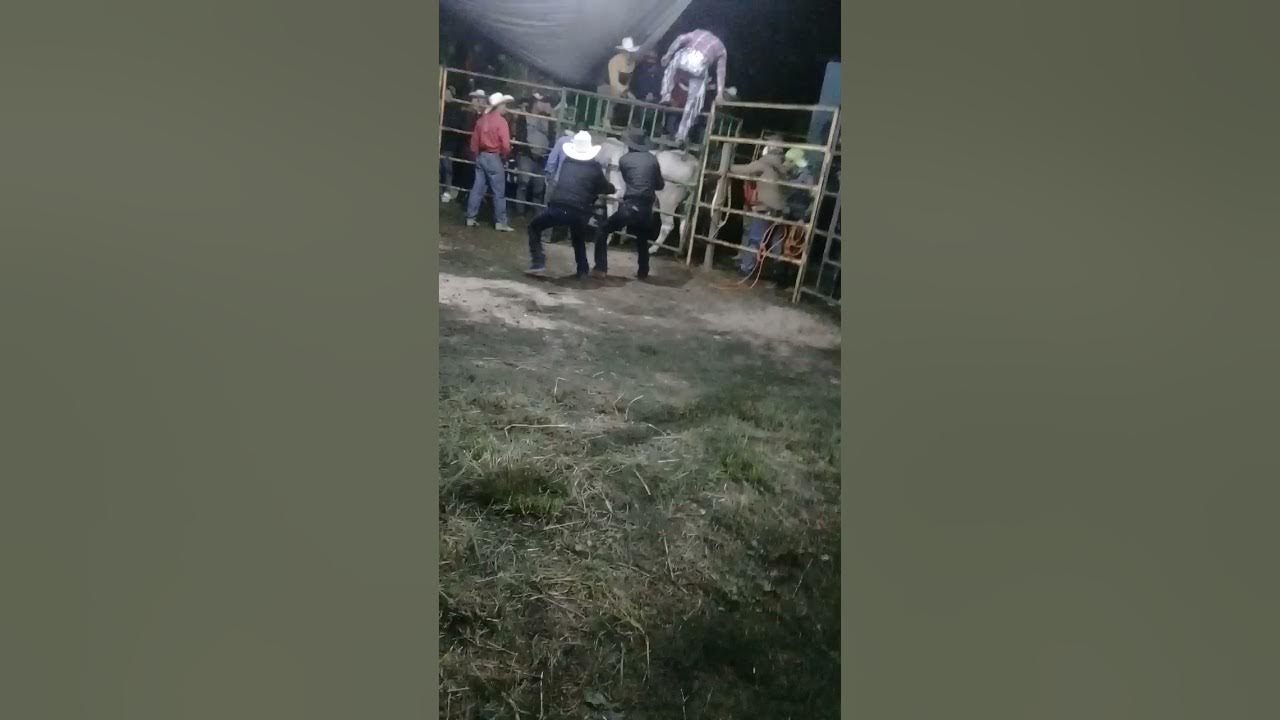 jaripeos sierra norte YouTube