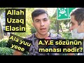 A.Y.E sözünün mənası nədir? Sorğu #28