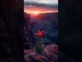 I LOVE YOU TONIGHT | 2026 SONG HIT | ROMANTIC BALLAD ♥️ | COOL SONG FEELINGS #lovesong #love