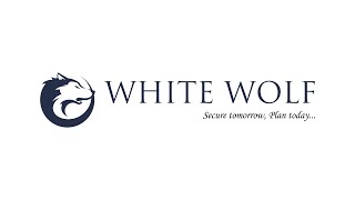 Unveiling the Wise Investor's Secret: Volatility = Opportunity