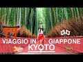 VIAGGIO IN GIAPPONE: Kyoto, tra cervi, geisha e stranezze assurde giapponesi! | Vlog dal Giappone