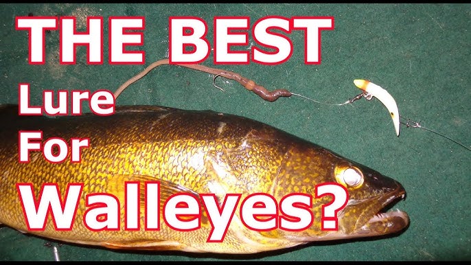 What is the Best Color Lure for Walleye? 