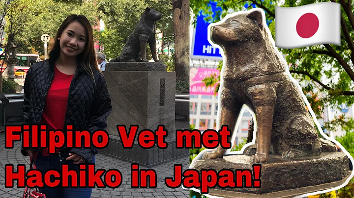 MEETING HACHIKO IN SHIBUYA, JAPAN || LOYAL DOG || AKITA