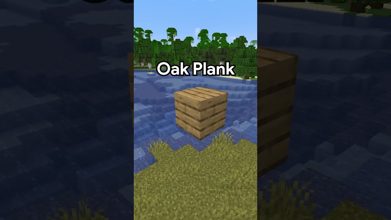 Minecraft Guess The Block!!!