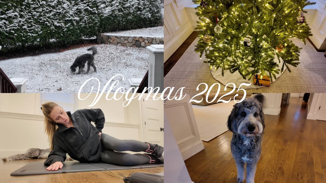 first snowday in Boston! & cook dinner with me