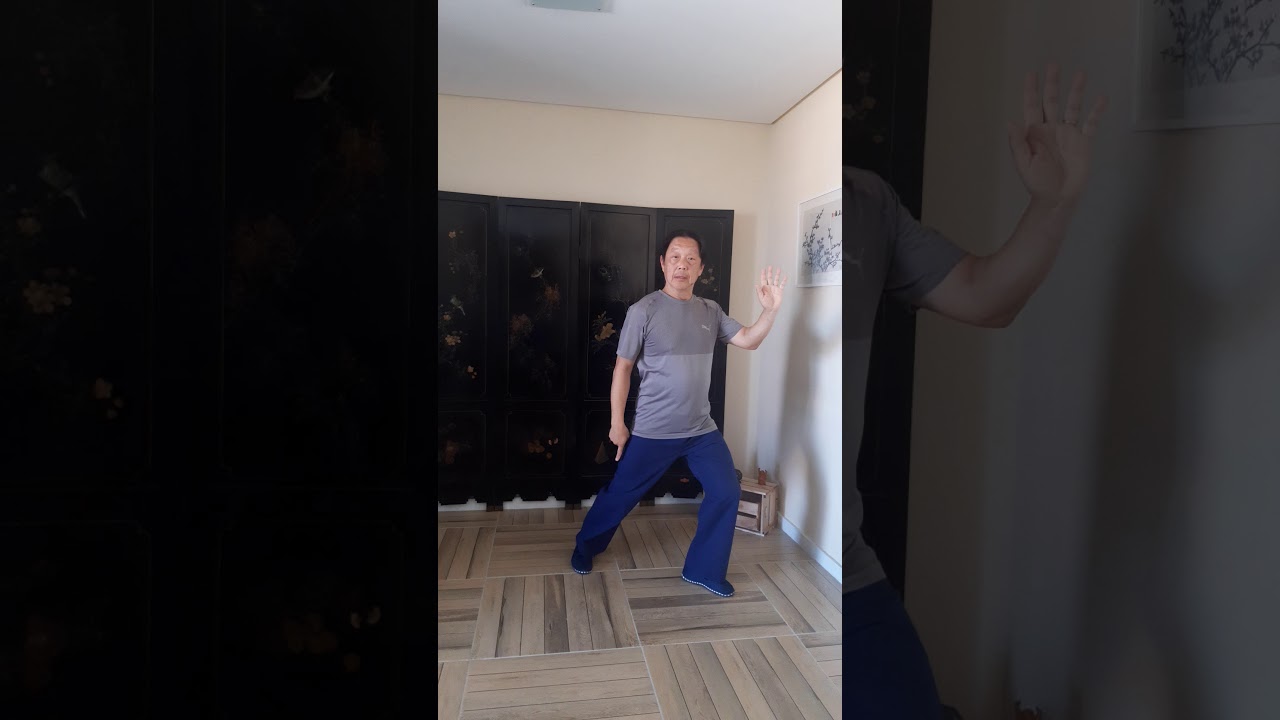 Jaime Kuk - Aula 05 – Os Quatro Movimentos Fundamentais do Qi, o Fluir do Qi.