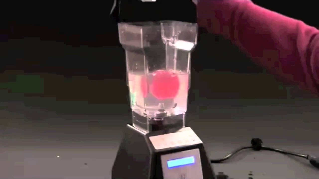 camera iphone 8 plus apk Bionic Dog Toys