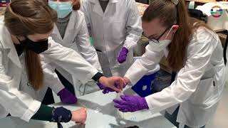 Shemakes Labs | Introduction to Biomaterials (Fab Lab León)