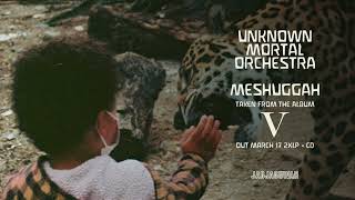 Video thumbnail of "Unknown Mortal Orchestra "Meshuggah" (Official Audio)"