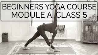 Beginners Yoga Course | Module A, Class 5 | 48 min | Cat de Rham | Online Yoga Teaching