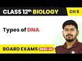 Types of DNA - Molecular Basis of Inheritance | Class 12 Biology