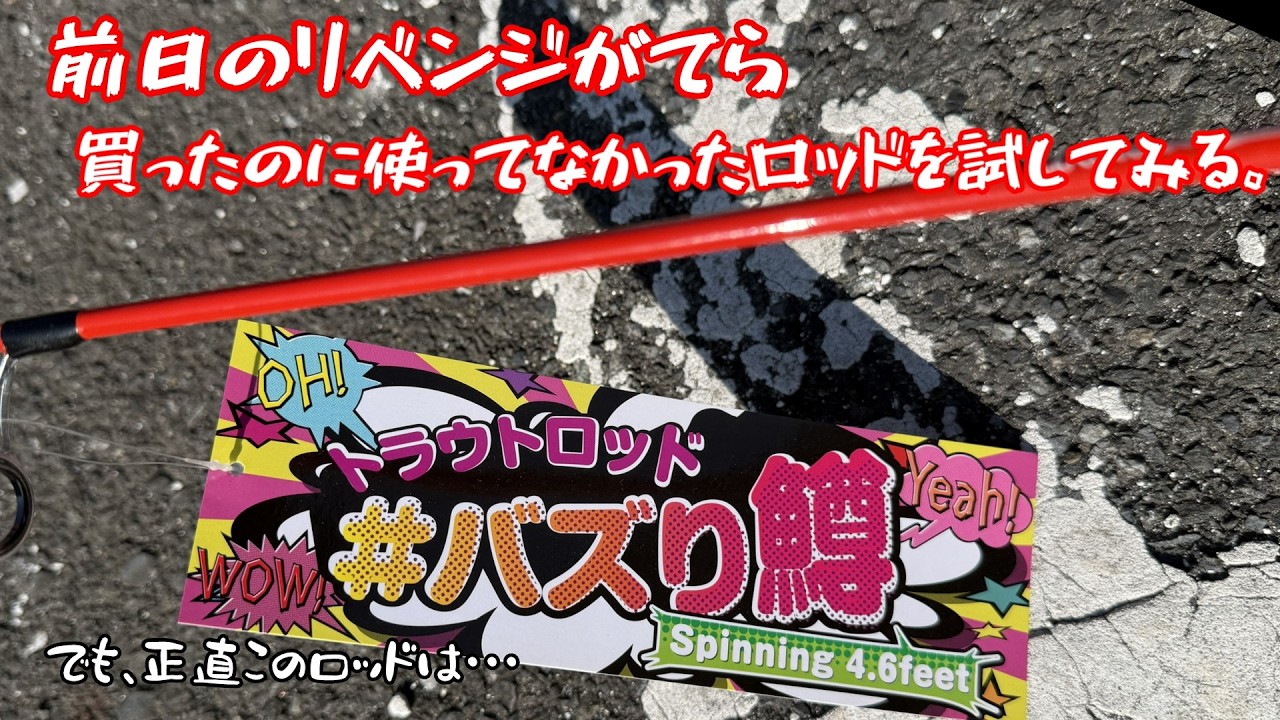 【朝霞ガーデン】２月１５日釣行記録【エリアトラウト】