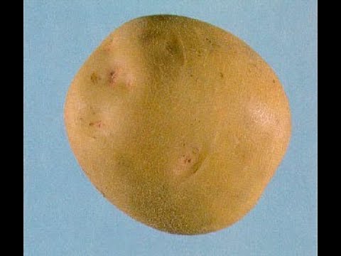 Way to Cook a Potato - Delicious Tasty Recipe - YouTube