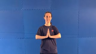 Learn Kung Fu Online | Free Kung Fu Classes | UK Shaolin screenshot 3