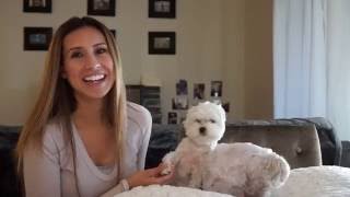 Katie Puff Rectangle Pillow Pet Bed Review