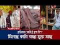 কুড়িগ্রামে ৪০০ থেকে ১ হাজার টাকায় মিলছে 'রেডি টু কুক ফিশ' | Ready to Cook Fish | Jamuna TV