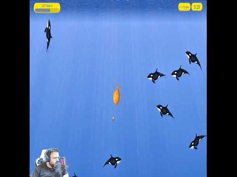 يمكة صغيرة تحولت ل سمكة قرش عملاقة اكسبلور  السعودية مصر العراق الاردن