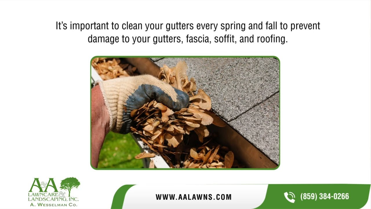 Gutter Cleaning Service