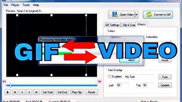 How to convert GIF to Video on PC/Mac/Android (No software downloads)