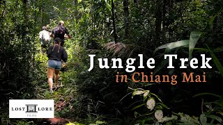 Chiang Mai Jungle Trek to Visit a Karen Hilltribe 🇹🇭 Doi Inthanon National Park, Thailand
