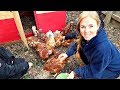 How We Got Our Tiny Backyard Ready for Chickens!
