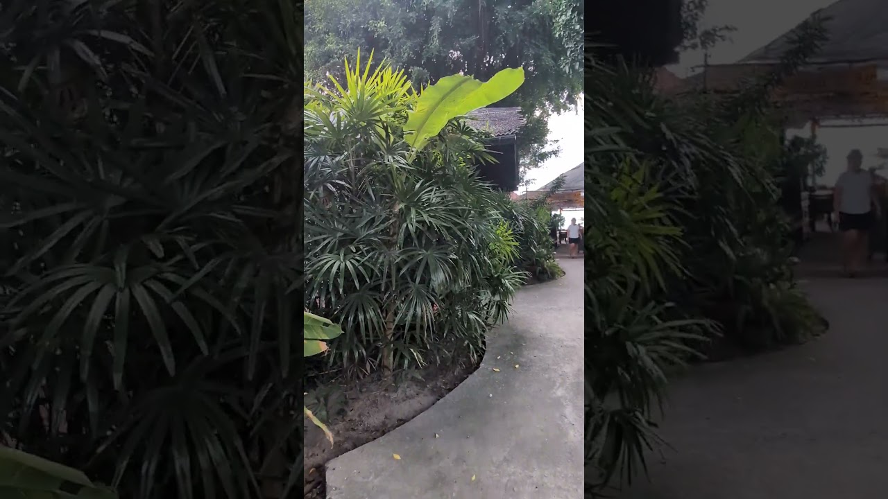 Restaurant Secret Garden