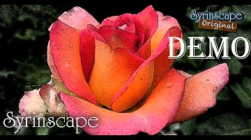 Romance SoundSet | Syrinscape Demo | Immersive RPG Audio