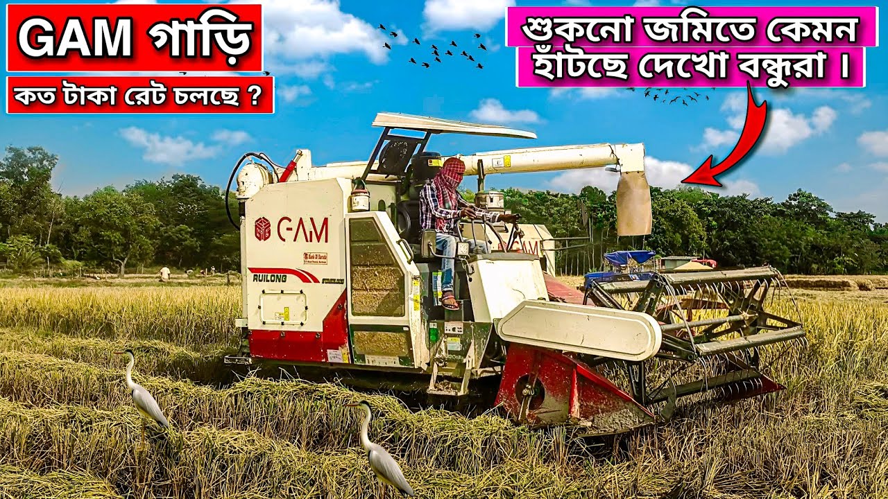 Gam Ruilong Stainless Harvester Machine | part -2 #tractorvideo #farming #banglatractor #harvester