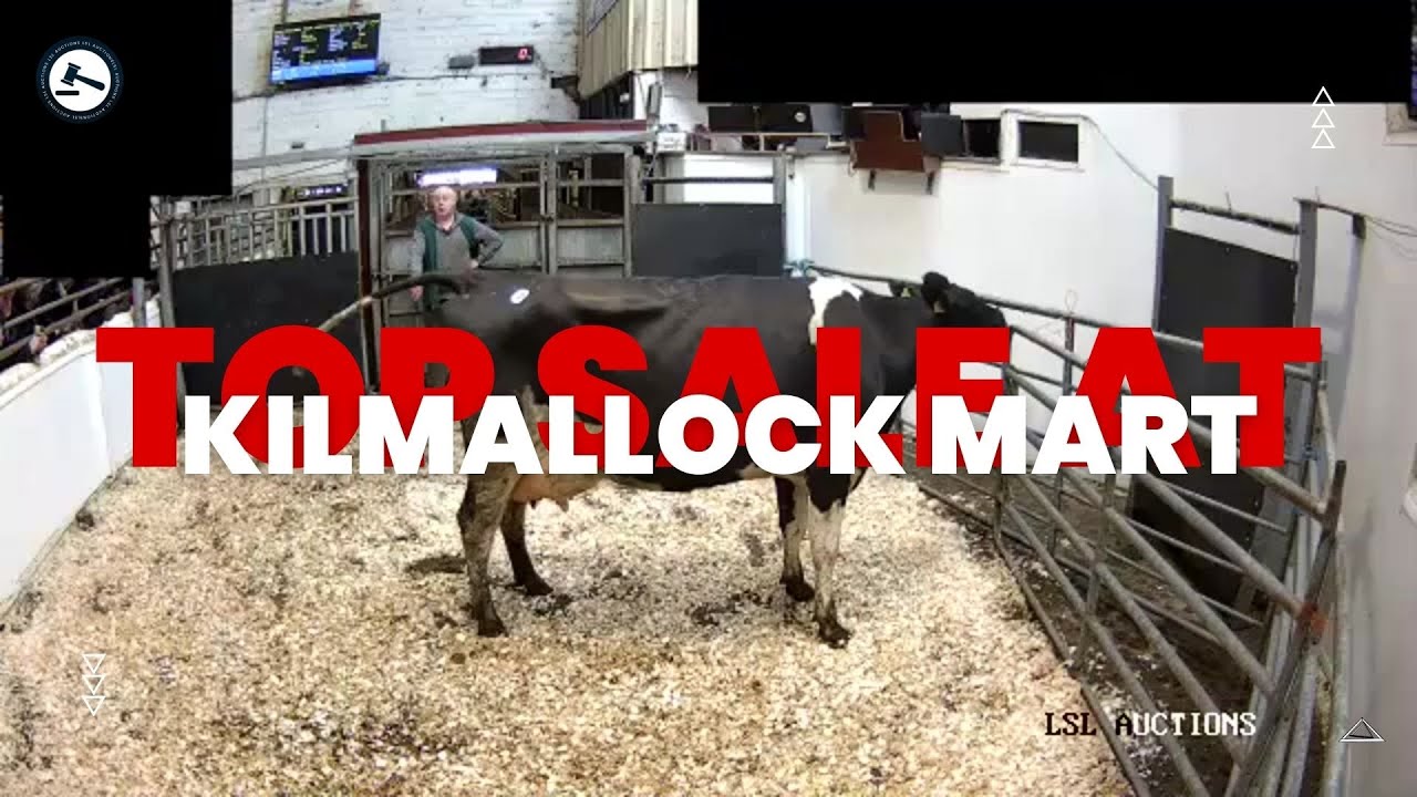 €2480.00!! Kilmallock Mart YouTube