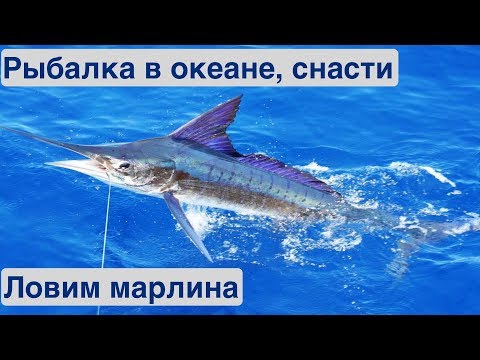 Зимняя рыбалка в океане. Рыболовные снасти | Жизнь на яхте Cupiditas