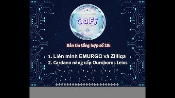 Bản tin số 19: Liên minh EMURGO và Zilliqa; Cardano nâng cấp Ouroboros Leios