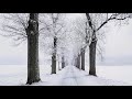 Winter invierno by jesus silvatony hauserguitarist