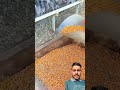pigeon farm  #farming #satisfying #shorts #viral #ytshorts #fypシ゚viral