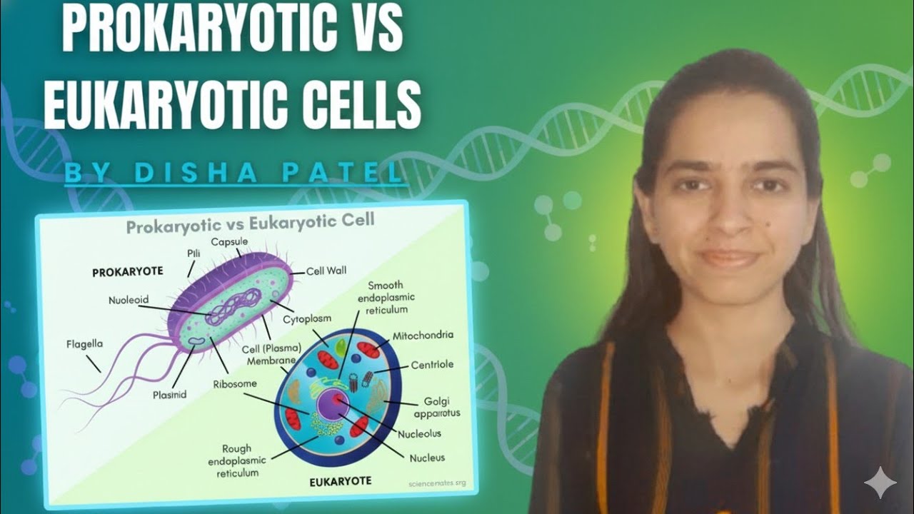 Eukaryotic Cell vs Prokaryotic Cell | Detailed Comparison with Diagram | Cell Biology for Beginners