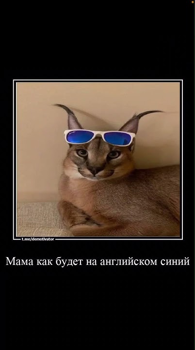 СИНИЙ И СИНИЙ - YouTube