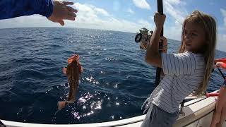 Offshore ARS and Grouper Catch, Clean and Cook! screenshot 5