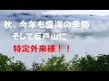 雲海を望む坂戸山と残念な特定外来生物🐦