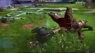 TERA Online CBT2 Game Play
