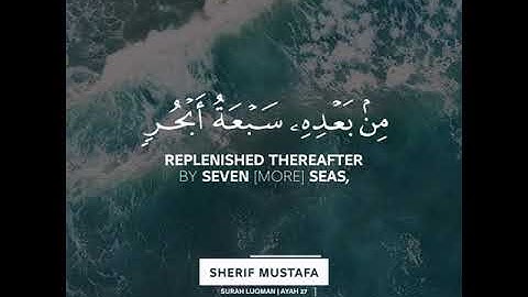 حالات واتس أب قران كريم - بصوت  القارئ  شريف مصطفى | #quranmajeedpro