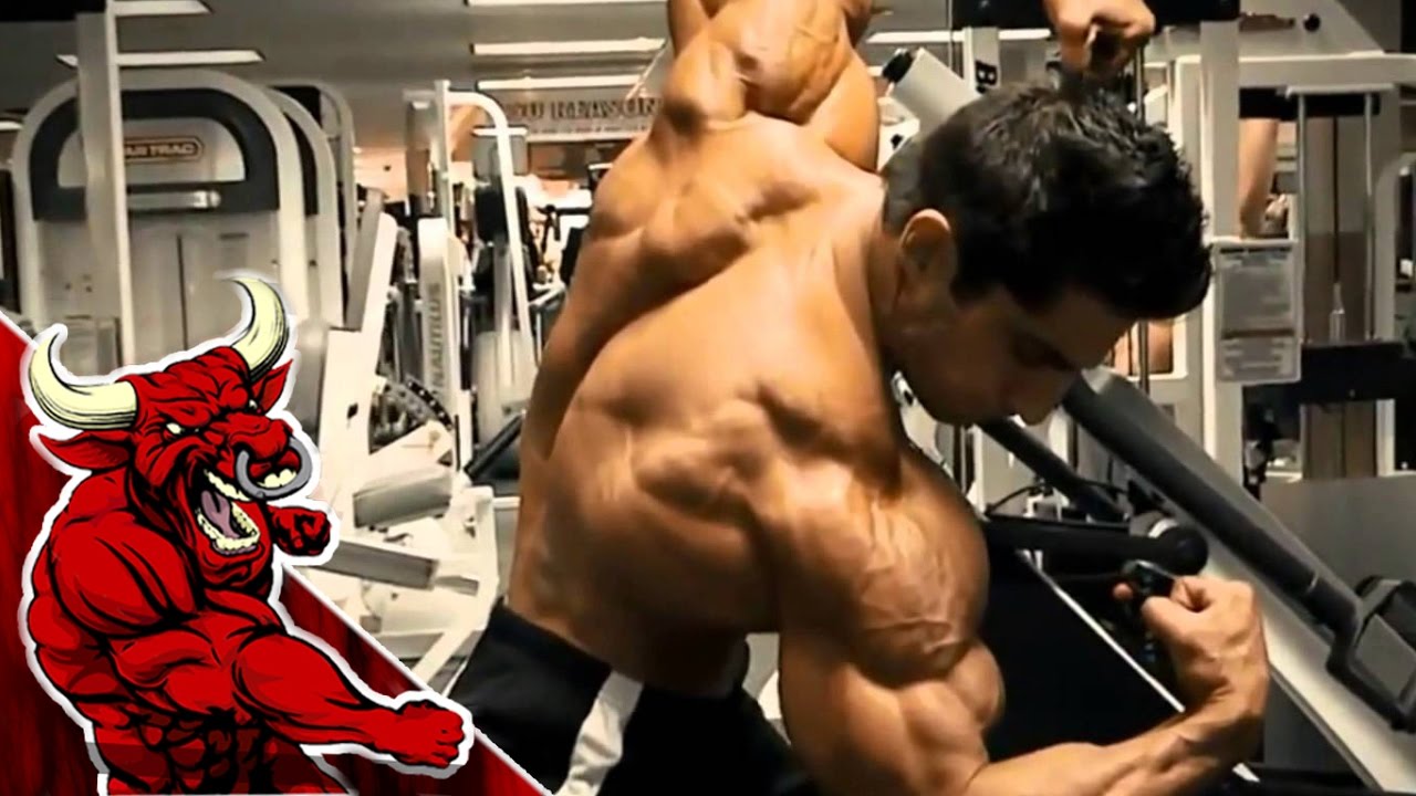 HUSKY LION - PROGRAMADO PARA VENCER