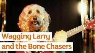 Wagging Larry and the Bone Chasers | Sainsbury's